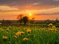 Infoabend in Wahlrod erklrt Frderprogramme fr umweltschonende Landwirtschaft