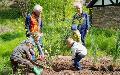 Kinder der Waldgruppe Wisserland beweisen grnen Daumen