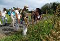 Kruterwanderung mit NABU Rennerod und dem Westerwaldverein 