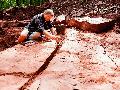 Fossilienfund in der Westpfalz: 300 Millionen Jahre alte Skelette unterm Gro�-CT