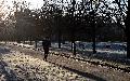 Mit dem Lauf- und Walktreff der SG Westerwald fit durch den Winter