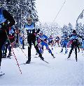 SVS bei Rheinland-Pokal und "Lemming Loppet" im Nordschwarzwald
