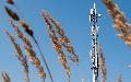 Neuer Mast fr schnelleren Mobilfunk in Elkenroth