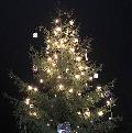 Heinzelmännchen schmückten den Michelbacher Weihnachtsbaum