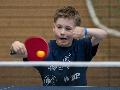 Mini-Meisterschaften: Tischtennis am 14. November in Großsporthalle Gebhardshain
