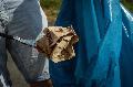 Gemeinsame Umweltaktion in Altenkirchen: Freiwillige sammeln M�ll