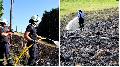 Wiese zwischen Niederhausen und Hohe Grete brannte - Feuerwehr griff schnell ein
