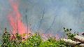 Großer Waldbrand bei Kleinmaischeid durch Brandstiftung?