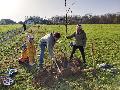 Erste Baumpflanzaktion in Hrtlingen
