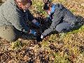 Aufforstung im Westerwald: 500 neue B�ume in Neunkhausen gepflanzt
