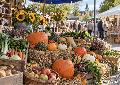 25. Bauernmarkt in Anhausen: Regionale Produkte zum Jubil�um 2026