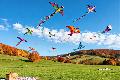 Westerwlder Drachenflugfest in Horhausen 2025: Farbenfrohe Shows und beleuchtete Drachen