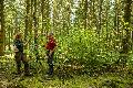 Naturwald Plus: Gemeinsam Waldzukunft gestalten