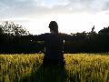 Tai Chi und Qi Gong im Sommer: Kurse fr Anfnger und Fortgeschrittene in Altenkirchen