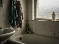 Schimmel im Badezimmer effektiv bek�mpfen: Tipps und Tricks zur Vorbeugung