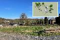 Skatepark in Katzwinkel: Erffnung fr Herbst angepeilt