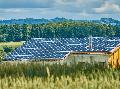 NABU und BfN: Energetische Gebudesanierung und Artenschutz gemeinsam verfolgen