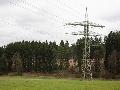 Stromausfall: Baum fllt bei Seck in Freileitung