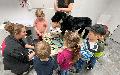 Freusburger Kita-Kinder besuchen die Tierklinik in Betzdorf