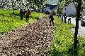  Von Alpakas bis Falknerei: Feiern Sie 50 Jahre Naturschutz in Thalhausen