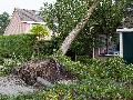 Unwettersch�den: So handelt man richtig