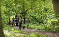 Frster bieten Fhrung durch den Friedwald Wildenburger Land an