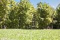 Abenteuer im Wald: Spannende Familienaktion im Rhein-Westerwald