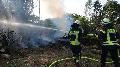 Waldbrand in Alsdorf: Brand von rund 80 Quadratmeter Waldboden