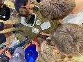 NABU erklrt Kindern die Wasserwelten