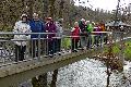Westerwaldverein Bad Marienberg wanderte