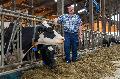D�rre in Rheinland-Pfalz: Bauern k�mpfen mit Futterknappheit
