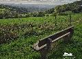 Anspruchsvolle Wanderung auf der Linzer H�he