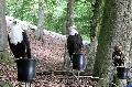 Wildpark Gackenbach: Majest�tische Greifv�gel hautnah erleben