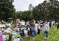 Erfolgreicher Auftakt: Flohmarkt in Pracht begeistert Besucher