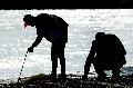 RhineCleanUp 2026: Niedrigwasser erschwert die notwendige S�uberung
