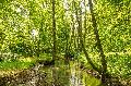 Natur hautnah erleben: Exkursion der LEADER-Region Westerwald-Sieg