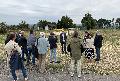 Neuwied startet neue Ortsbezirksbegehungen und nimmt die Ortsteile ins Visier
