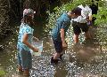 Entdeckungsreise im Erbach: NAJU-Kinder erforschen das Leben im Bach