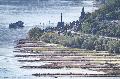 D�rre und Hitze: Ein neues Normal f�r Rheinland-Pfalz?