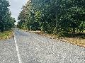 Verkehrsbehinderungen auf der L 327 wegen Gasleitungsarbeiten