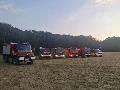 Feuerwehreins�tze in der Region: Wald- und Vegetationsbr�nde fordern Einsatzkr�fte