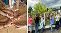 R�ckblick auf die Sommerfreizeit in Neuwied: Kreativit�t und Abenteuer f�r 170 Kinder