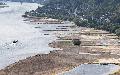 Rhein-Niedrigwasser trifft Binnenschifffahrt erheblich