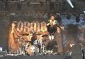 "Rock the Forest" in Rengsdorf � ein Metal-Festival mitten im gr�nen Wald