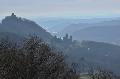 Naturkundliche Wanderung am Drachenfels: Die Faszination des Siebengebirges