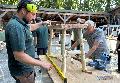 Vom Baum zum M�belst�ck: Einzigartiges aus heimischen W�ldern bei Hachenburg