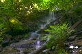 Sommerabend in Melsbach: Wandern und Grillen im Westerwald