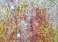 K�nstler-Brunch in Hamm: Finissage mit Patrizia Casagranda
