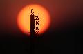 Sommerhitze am Wochenende in Rheinland-Pfalz erwartet