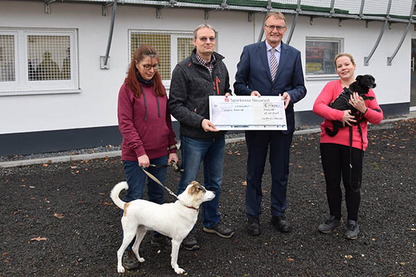 
Petra Jschke (Tierheimleiterin), Jrgen Brggemann (1. Vorsitzender), Landrat Rainer Kaul, Verena Schiller (Mitarbeiterin Tierheim) und zwei ihrer Schtzlinge bei der Spendenbergabe von links). Foto: Kreisverwaltung